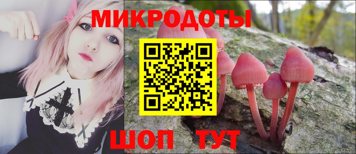 Камышин  Галлюциногенные грибы Magic Shrooms  Вход с VPN 