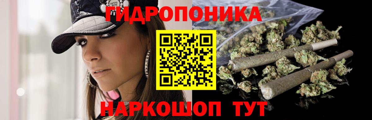 Шишки марихуана планчик Камышин